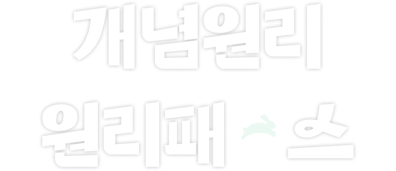 개념원리 원리패스